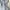 Levi's Streetwear Skater Jeans Pria gray photo 3