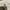 Carhartt Streetwear Y2K Casual pants Pria tan cream photo 6