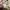 Carhartt Streetwear Y2K Casual pants Pria tan cream photo 8