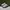 Puma Casual Sneakers Pria white black photo 3