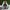 Puma Casual Sneakers Pria white black photo 4
