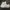Nike Casual Sneakers Wanita gold white photo 3