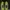 Adidas Sportswear Casual Sneakers Pria black yellow photo 4