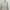 Casual Harrington jacket Pria white photo 1