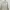 Casual Harrington Jacket Pria White