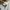 Casual Harrington jacket Pria white photo 5
