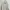 Casual Harrington Jacket Pria White