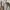 Casual Harrington jacket Pria white photo 6