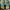 Adidas Sportswear Sneakers Pria black blue photo 5