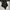 Grunge Goth Shirt Wanita black photo 4