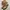 Japanese brand Lolita Avant Garde Boots Pria tan brown photo 1