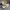 Nike Sportswear Casual Sneakers Wanita white yellow photo 5
