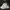 Adidas Sportswear Casual Sneakers Pria white gray photo 1