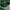 Adidas Sportswear Casual Sneakers Pria white gray photo 6