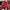 BCBG Max Azria Futurist Bomber Jacket Wanita Red