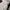 Minimalist Flare pants Wanita white photo 4