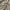 Luxury Avant Garde Puffer jacket Pria green photo 5