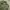 Avant Garde Minimalist Puffer jacket Pria green photo 3