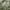 Avant Garde Minimalist Puffer jacket Pria green photo 5