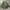 Avant Garde Minimalist Puffer jacket Pria green photo 1