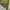 Avant Garde Minimalist Puffer jacket Pria green photo 2