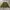 Avant Garde Minimalist Puffer jacket Pria green photo 1