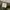 Avant Garde Minimalist Puffer jacket Pria green photo 5