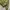 Avant Garde Minimalist Puffer jacket Pria green photo 3