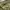Avant Garde Minimalist Puffer jacket Pria green photo 4