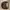 Fendi Vintage Minimalist Shoulder bag Wanita tan brown photo 2