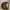 Fendi Vintage Minimalist Shoulder Bag Wanita Tan Brown