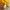 Puma Sportswear Jersey Pria yellow photo 4
