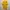 Puma Sportswear Jersey Pria Yellow