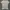 Jil Sander Luxury Casual T-shirt Wanita tan photo 8