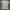 Jil Sander Luxury Casual T-shirt Wanita tan photo 1