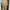 Minimalist Fur coat Wanita tan brown photo 5