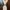 Bebe Luxury Bodycon Dress Wanita Cream
