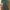 ZARA Minimalist Bodycon dress Wanita green photo 2