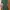 ZARA Minimalist Bodycon Dress Wanita Green