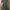 ZARA Minimalist Bodycon dress Wanita green photo 1