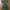 ZARA Minimalist Bodycon Dress Wanita Green