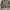 Burberry Vintage Luxury Harrington jacket Pria tan photo 1
