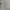 Burberry Vintage Luxury Harrington jacket Pria tan photo 8