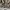 Burberry Vintage Luxury Harrington jacket Pria tan photo 7