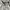 Burberry Vintage Luxury Harrington jacket Pria tan photo 4