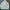 Chanel Streetwear Denim jacket Pria white photo 1