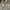 Burberry Vintage Luxury Polo shirt Pria khaki photo 5
