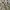 Burberry Vintage Luxury Polo Shirt Pria Khaki