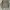 Burberry Vintage Luxury Polo shirt Pria khaki photo 1