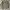 Burberry Vintage Luxury Polo Shirt Pria Khaki